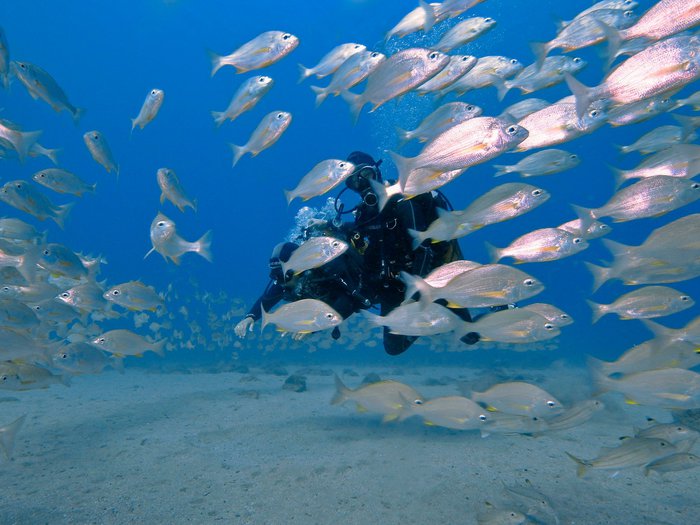 Diving